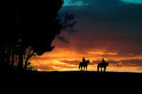 Книга Разбойник (СИ)