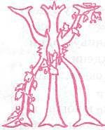 Серебряная книга лучших сказок мира - _89.jpg