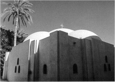 Повседневная жизнь отцов-пустынников IV века - i_025.jpg