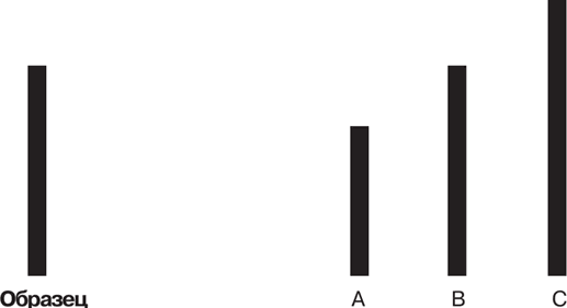 Иллюзия «Я», или Игры, в которые играет с нами мозг - i_007.png