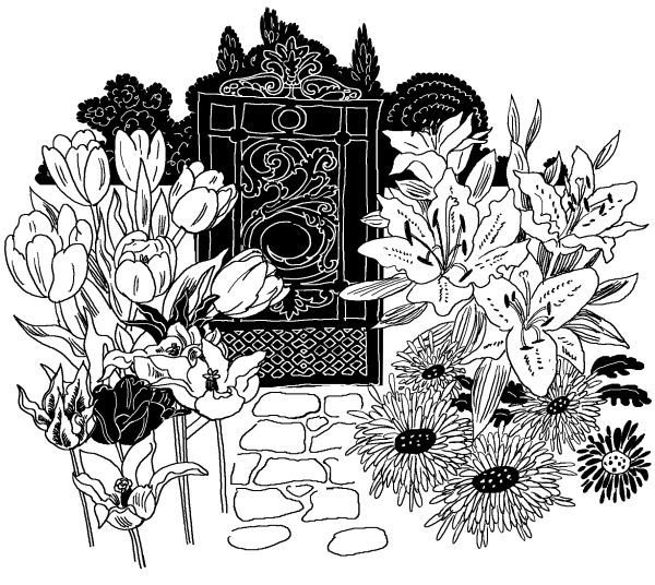 Лили сама по себе - i_038.jpg