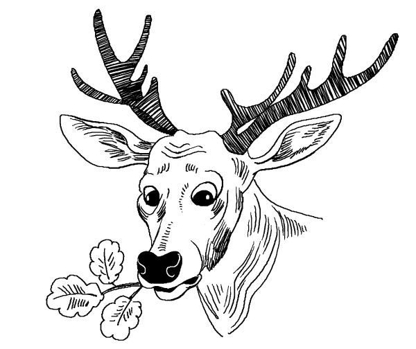 Лили сама по себе - i_068.jpg