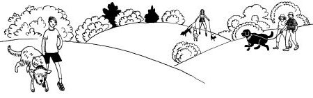 Лили сама по себе - i_073.jpg