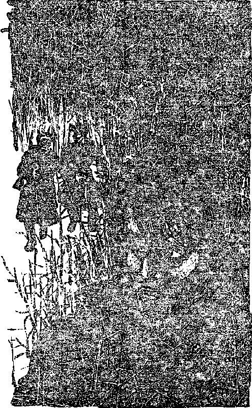 Паутина - i_004.jpg