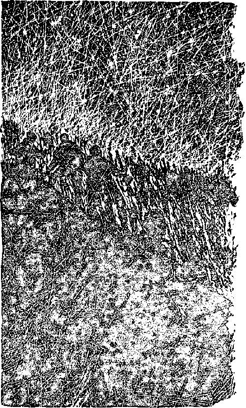 Паутина - i_008.jpg