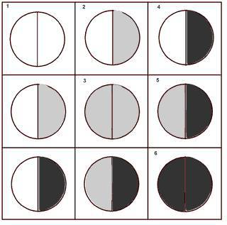 Успехология любви - _0.jpg