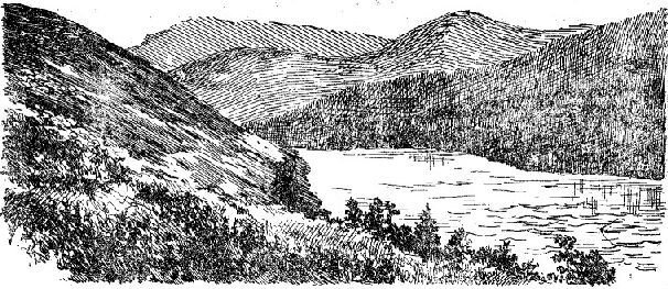 По Алтаю - _52.jpg