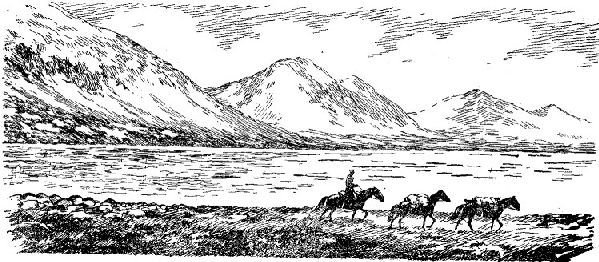 По Алтаю - _115.jpg