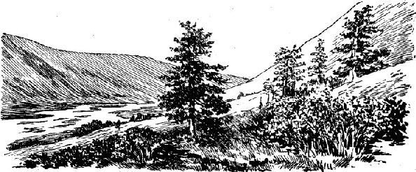 По Алтаю - _144.jpg