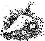 По Алтаю - _66.jpg