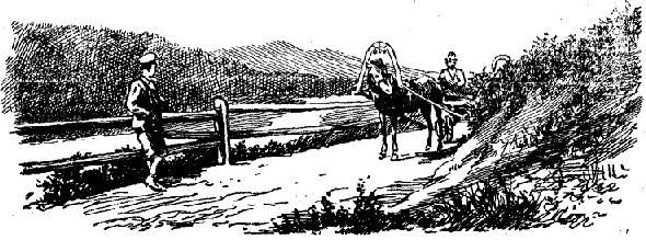 По Алтаю - _68.jpg