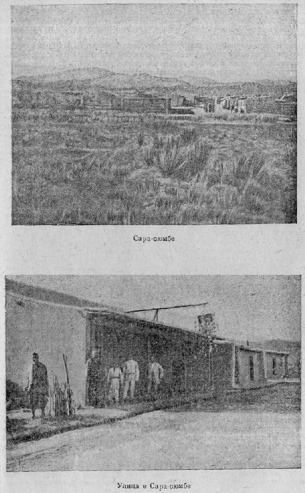 По Алтаю - _98.jpg