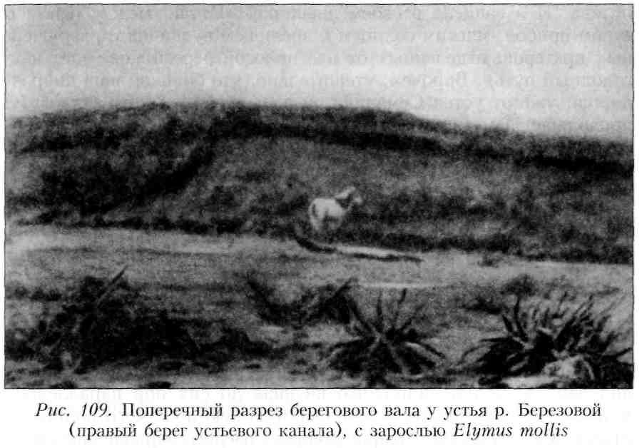 Путешествие по Камчатке в 1908--1909 гг. - _110.jpg