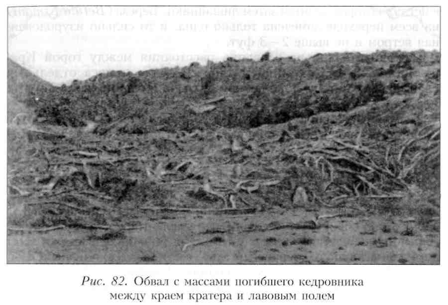 Путешествие по Камчатке в 1908--1909 гг. - _83.jpg