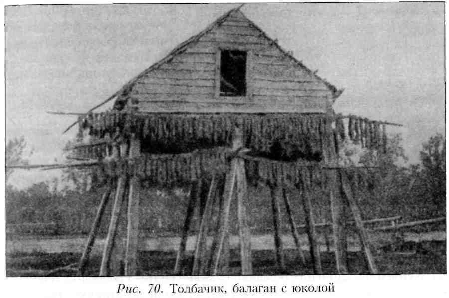 Путешествие по Камчатке в 1908--1909 гг. - _71.jpg