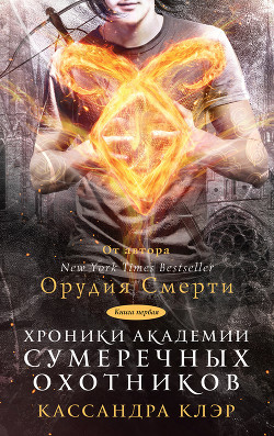 Книга Хроники Академии Сумеречных охотников. Книга I (сборник)