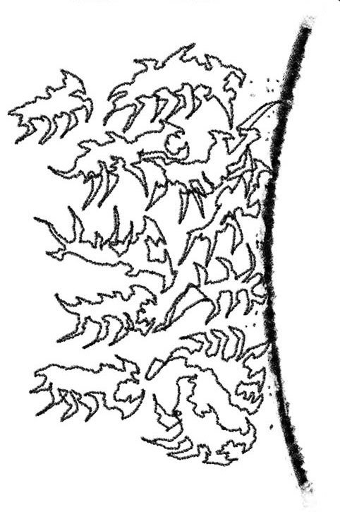 Рифматист (ЛП) - _24_3.jpg