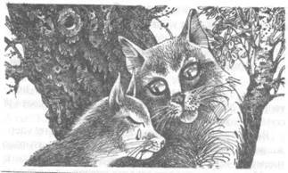 Забытый Воин - pic_10.jpg