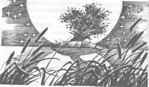 Забытый Воин - pic_14.jpg