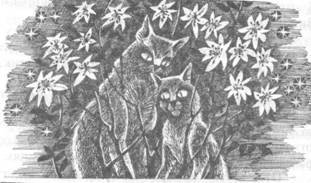 Забытый Воин - pic_18.jpg