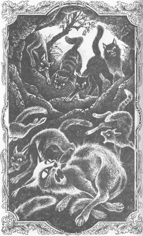 Забытый Воин - pic_2.jpg