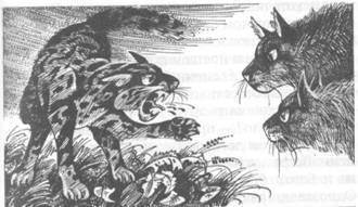 Забытый Воин - pic_24.jpg