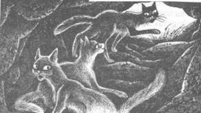 Забытый Воин - pic_28.jpg