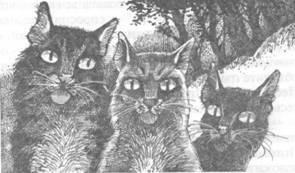 Забытый Воин - pic_32.jpg