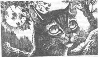 Забытый Воин - pic_4.jpg