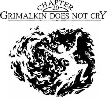Я - Грималкин (др.перевод) (ЛП) - _21.jpg