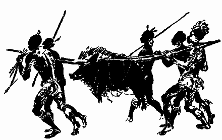 Серед дикунів Нової Гвінеї - im_015.png