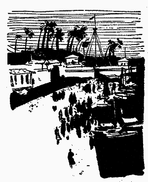 Діаманти Ківі-Ківі - i_013.png