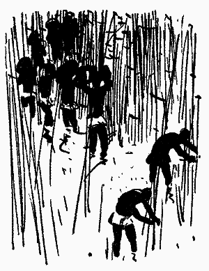 Діаманти Ківі-Ківі - i_015.png