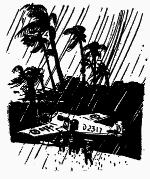 Діаманти Ківі-Ківі - i_025.png