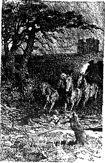 Черный тюльпан (др. изд.) - id73006_i_027.png