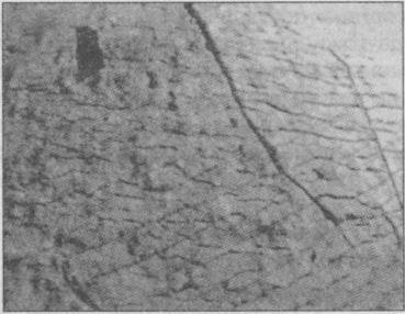 Тайны подземного мира - i_024.jpg