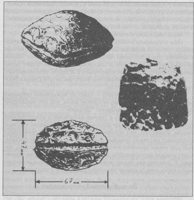 Тайны подземного мира - i_025.jpg
