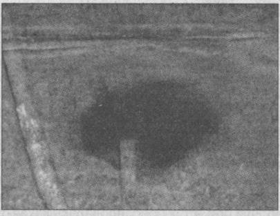 Тайны подземного мира - i_029.jpg