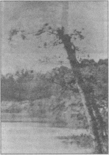 Тайны подземного мира - i_054.jpg