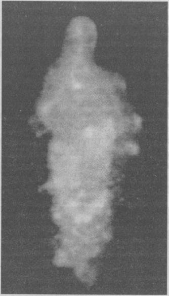 Тайны подземного мира - i_055.jpg