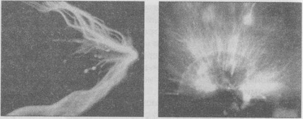 Тайны подземного мира - i_056.jpg