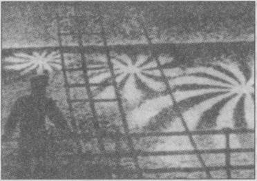 Тайны подземного мира - i_057.jpg