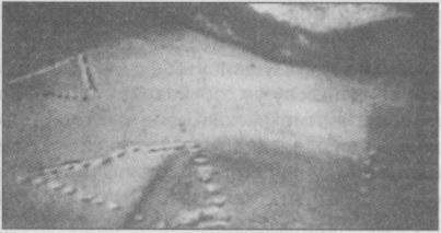 Тайны подземного мира - i_061.jpg