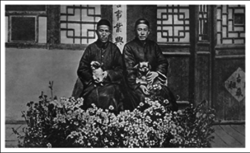 Путешествие в Уссурийском крае - i_002.png