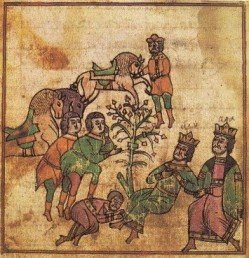 Наш "затерянный мир". Некоторые страницы белорусской истории. Часть I. 2015 (СИ) - _81.jpg