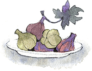 Маленький Мук. Карлик Нос (сборник) - i_009.png