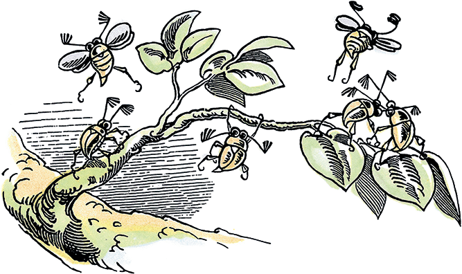 Озорные истории в стихах и картинках - i_054.png