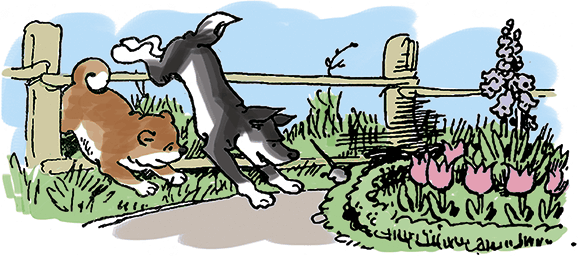 Озорные истории в стихах и картинках - i_134.png