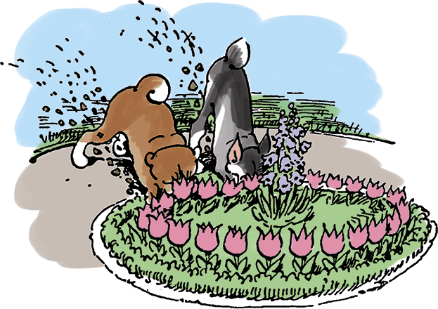 Озорные истории в стихах и картинках - i_135.png