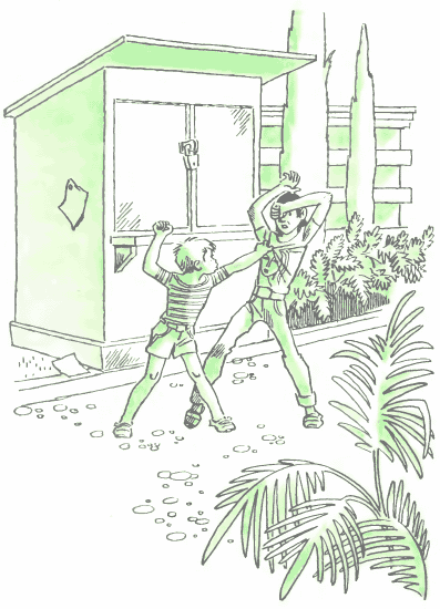 Синева до самого солнца, или Повесть о том, что случилось с Васей Соломкиным у давно потухшего вулкана - i_018.png